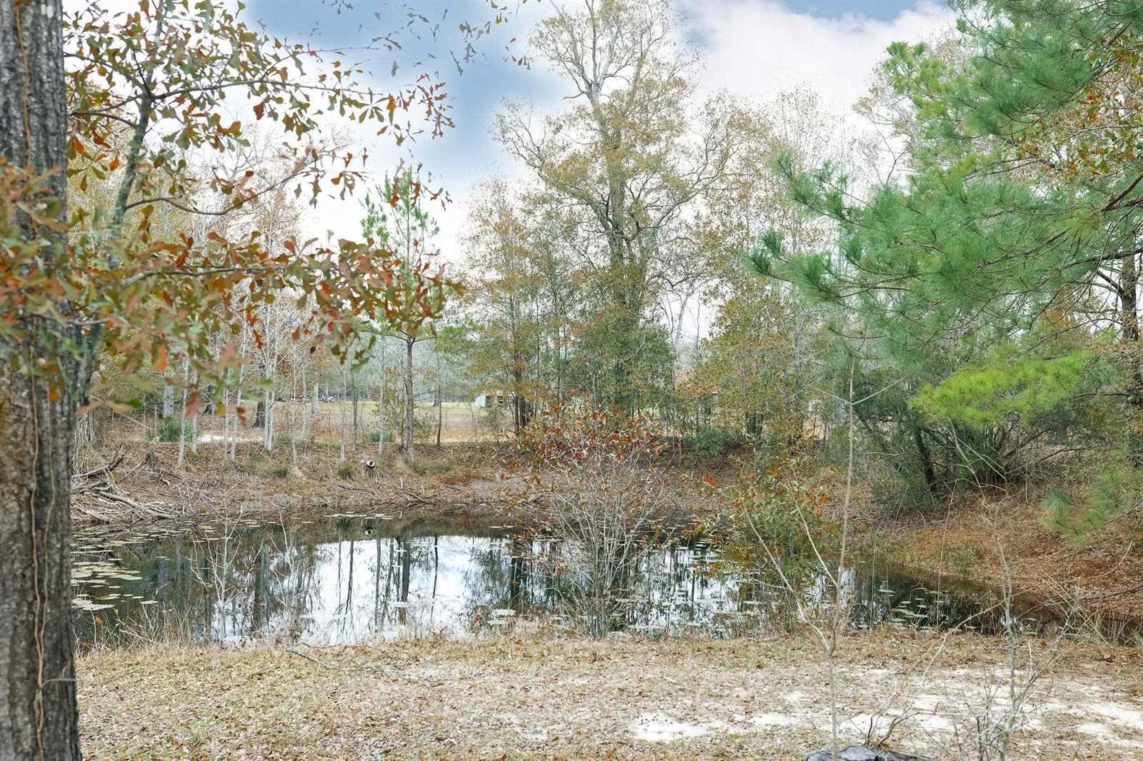 9861 FM 1442, Orange, TX 77630