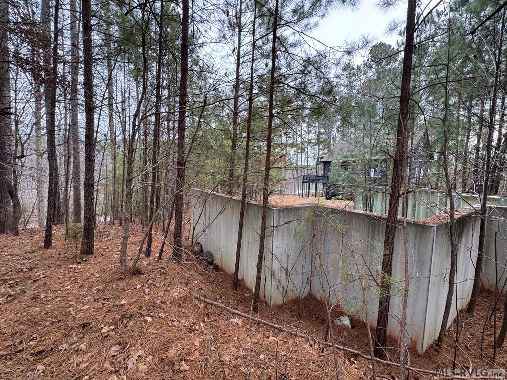 n/a Birdsong Road, Ebony, VA 23845