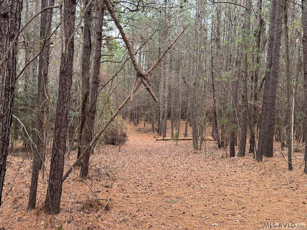 n/a Birdsong Road, Ebony, VA 23845