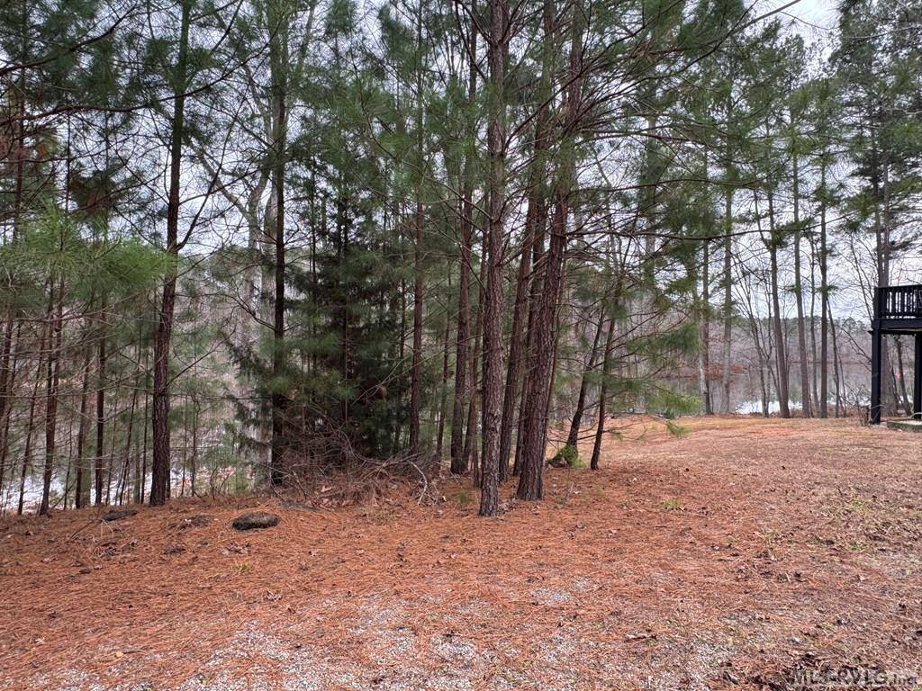 n/a Birdsong Road, Ebony, VA 23845