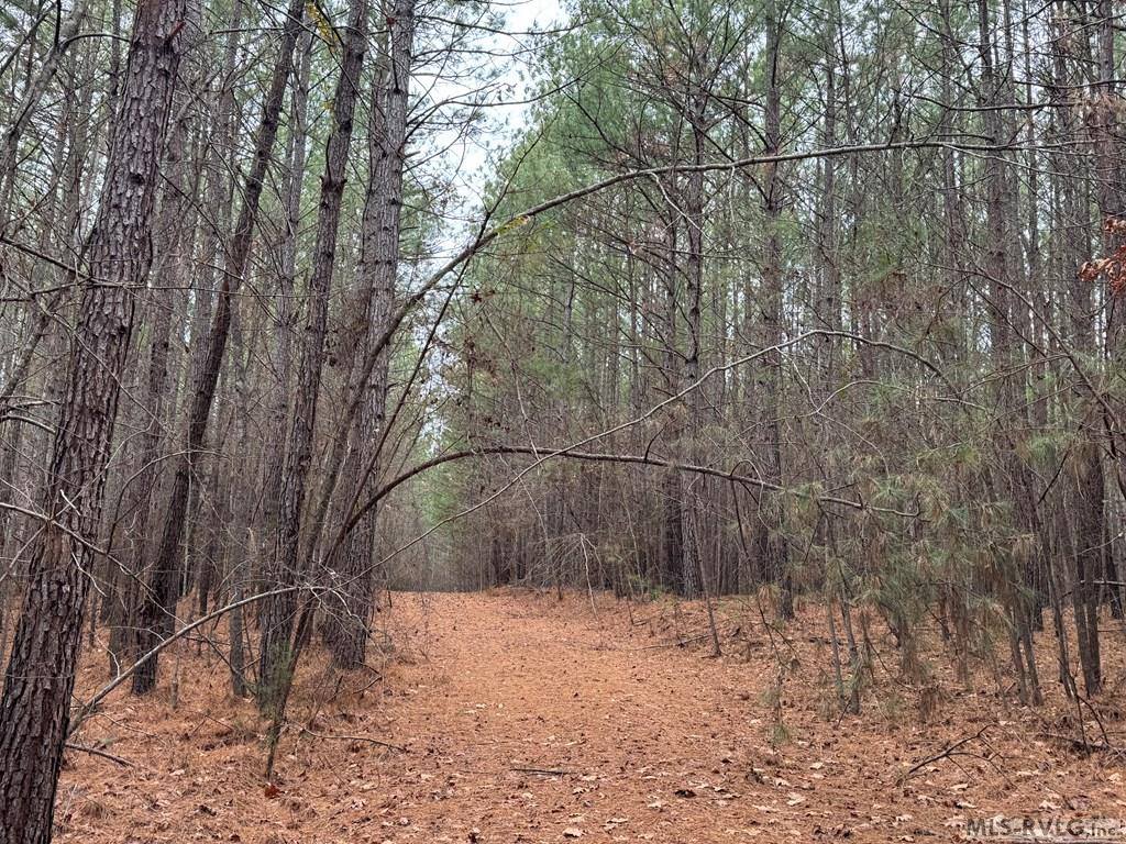 n/a Birdsong Road, Ebony, VA 23845