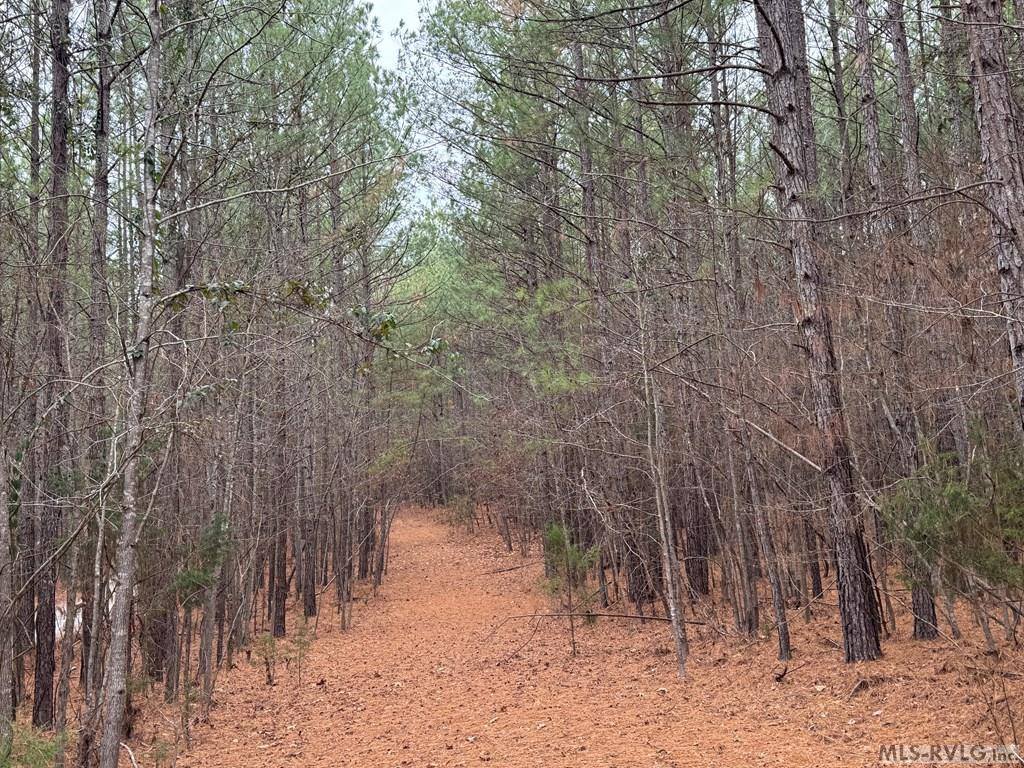 n/a Birdsong Road, Ebony, VA 23845