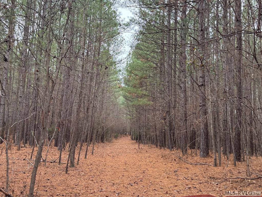 n/a Birdsong Road, Ebony, VA 23845