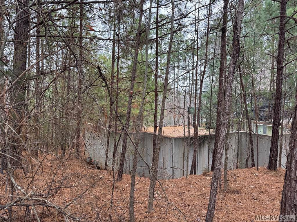 n/a Birdsong Road, Ebony, VA 23845