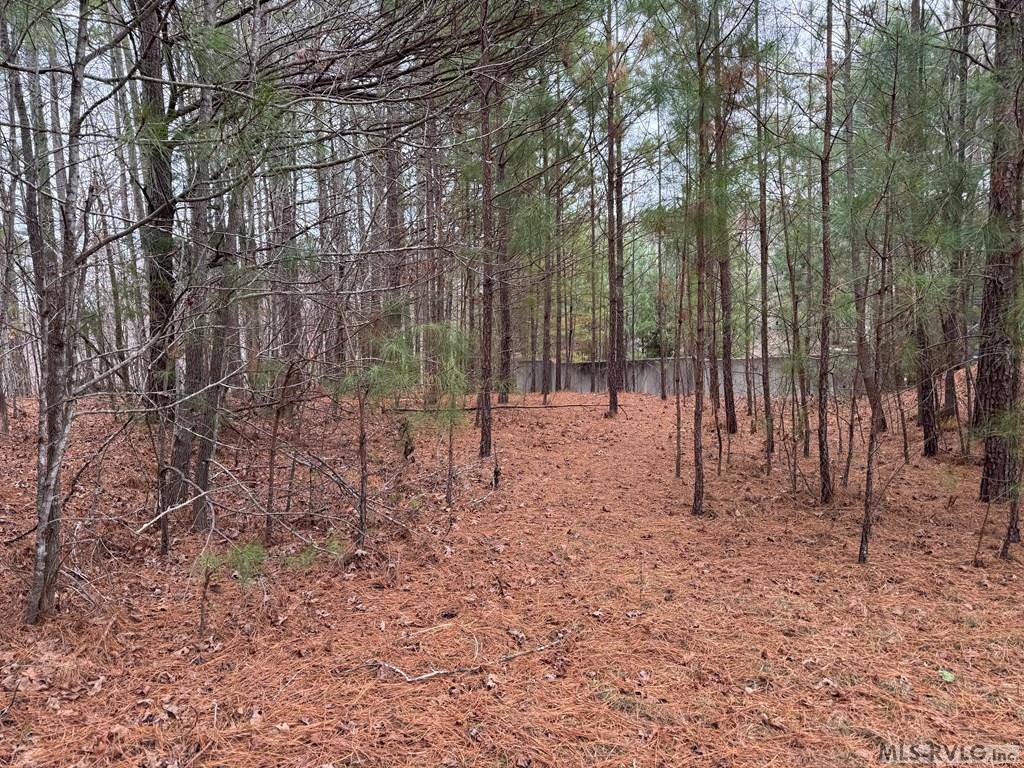 n/a Birdsong Road, Ebony, VA 23845