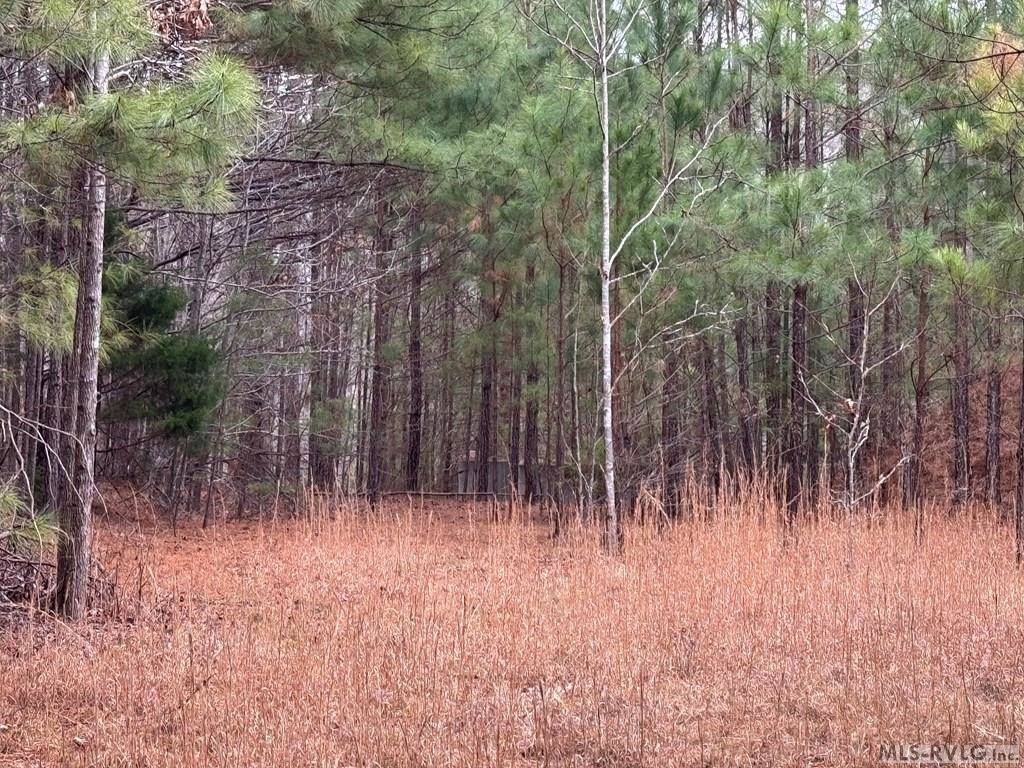 n/a Birdsong Road, Ebony, VA 23845