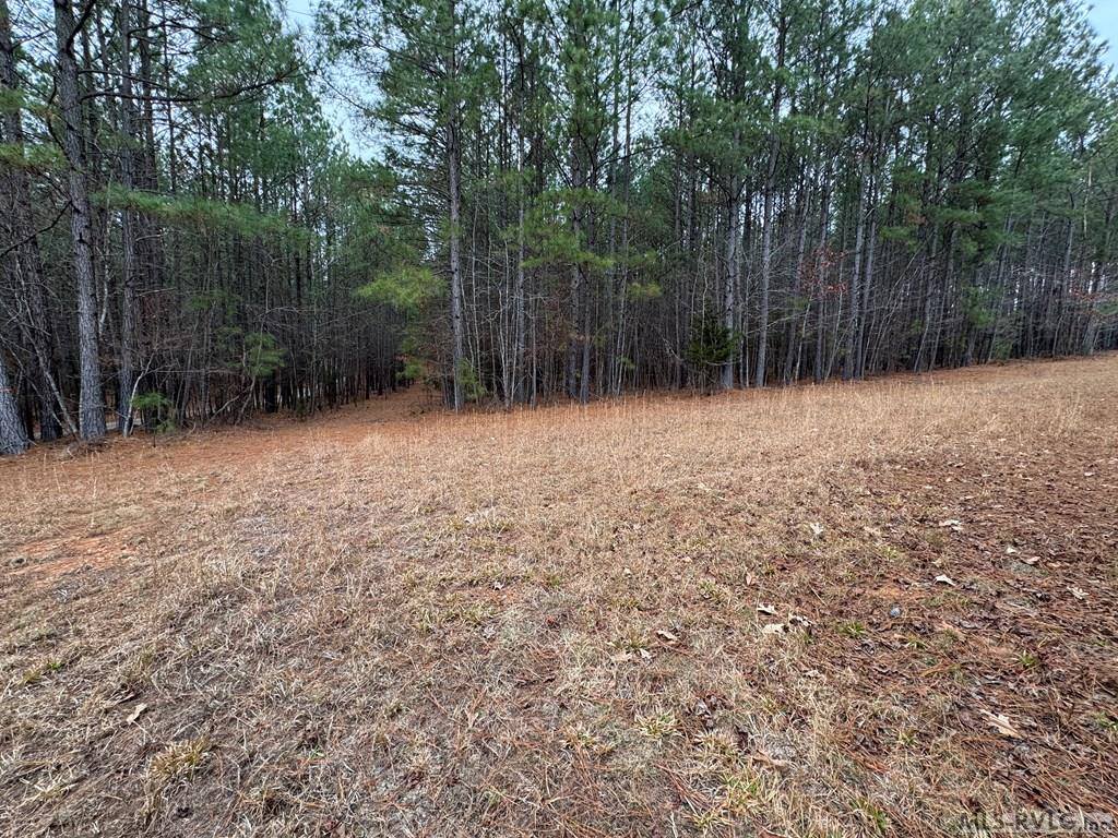 n/a Birdsong Road, Ebony, VA 23845