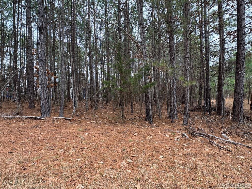 n/a Birdsong Road, Ebony, VA 23845