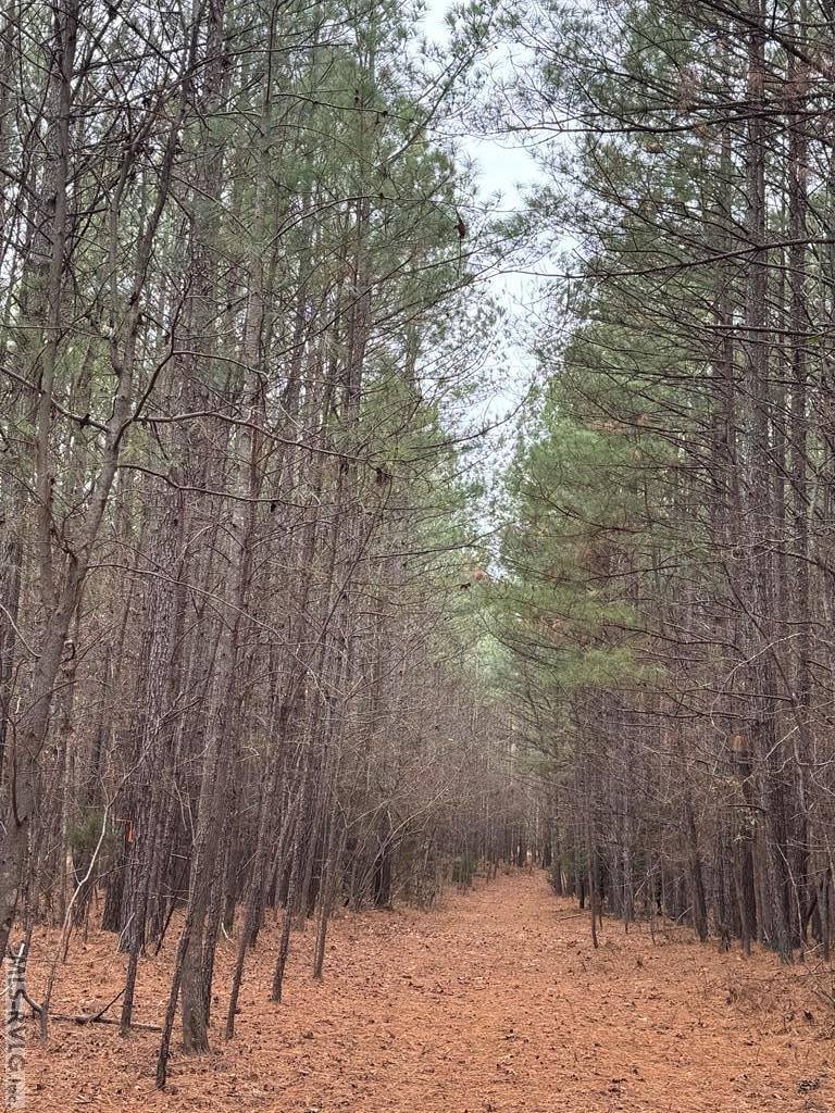 n/a Birdsong Road, Ebony, VA 23845