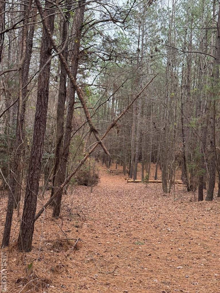 n/a Birdsong Road, Ebony, VA 23845