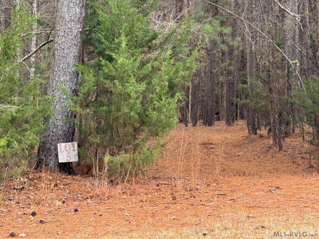 n/a Birdsong Road, Ebony, VA 23845