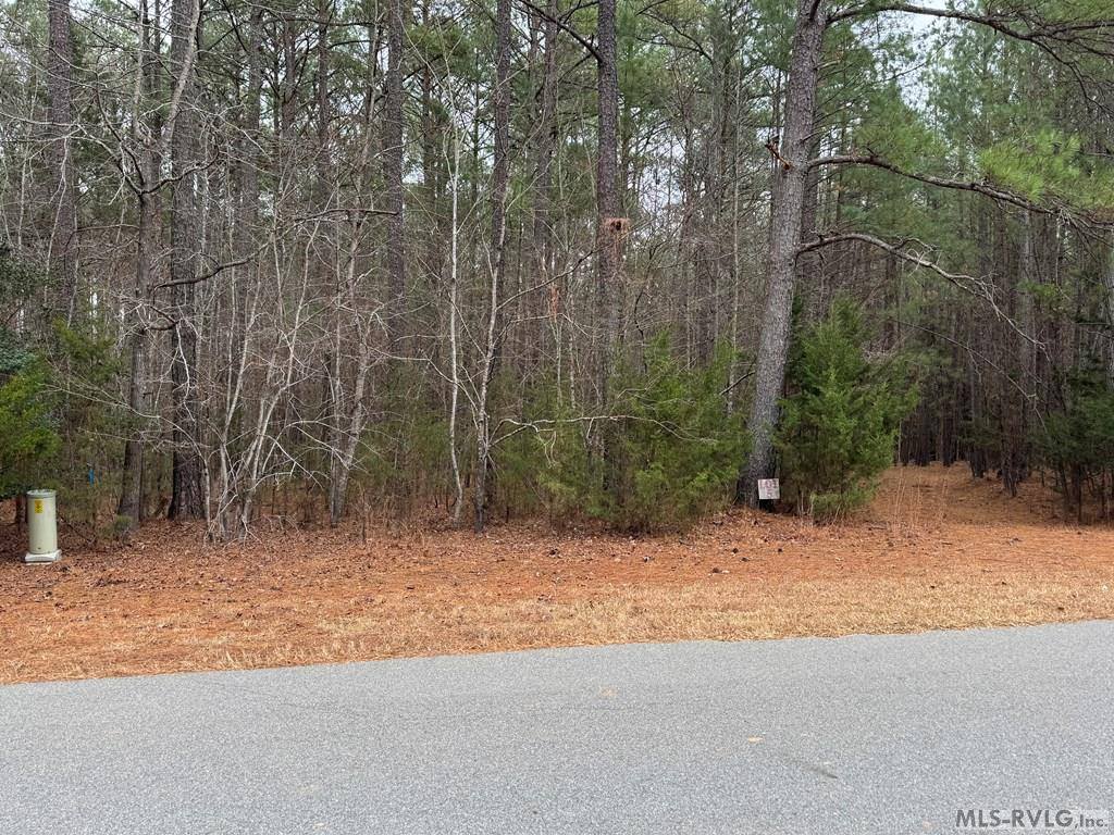 n/a Birdsong Road, Ebony, VA 23845