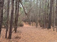 n/a Birdsong Road, Ebony, VA 23845