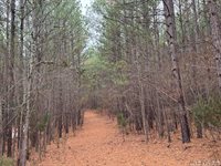 n/a Birdsong Road, Ebony, VA 23845