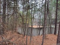 n/a Birdsong Road, Ebony, VA 23845