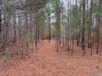 n/a Birdsong Road, Ebony, VA 23845