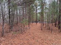 n/a Birdsong Road, Ebony, VA 23845