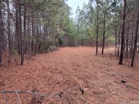 n/a Birdsong Road, Ebony, VA 23845