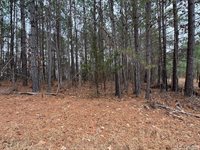 n/a Birdsong Road, Ebony, VA 23845