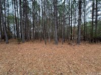 n/a Birdsong Road, Ebony, VA 23845