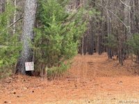 n/a Birdsong Road, Ebony, VA 23845