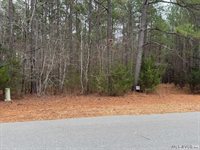 n/a Birdsong Road, Ebony, VA 23845