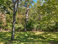 304 Blue Spruce Drive, Frankfort, KY 40601