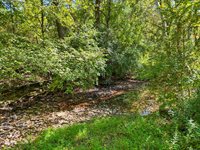 304 Blue Spruce Drive, Frankfort, KY 40601