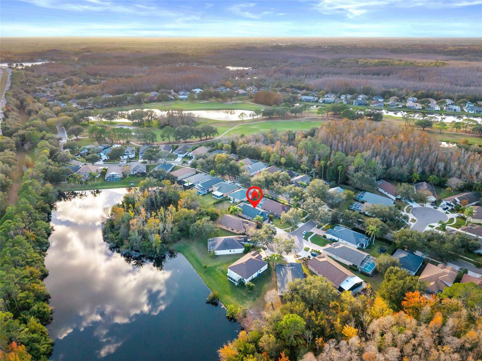 6006 Chellas Court, Lutz, FL 33558