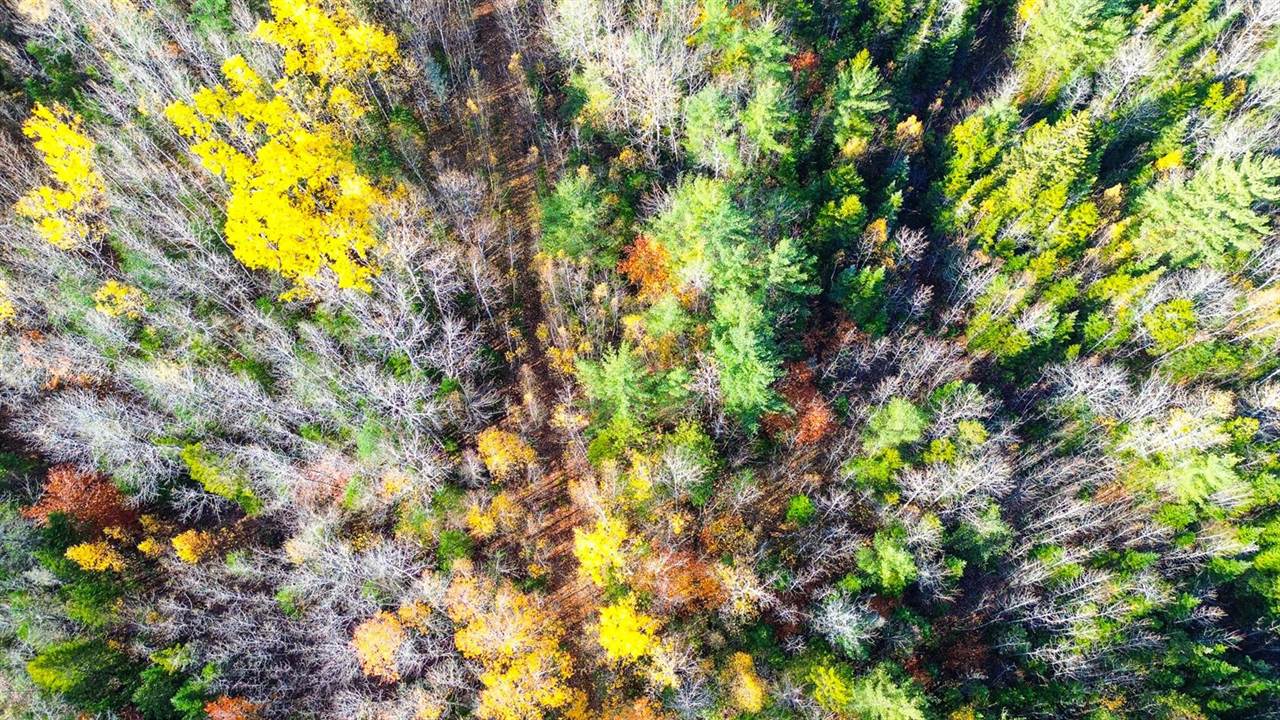 0000 Northfield Road, Wesley, ME 04686