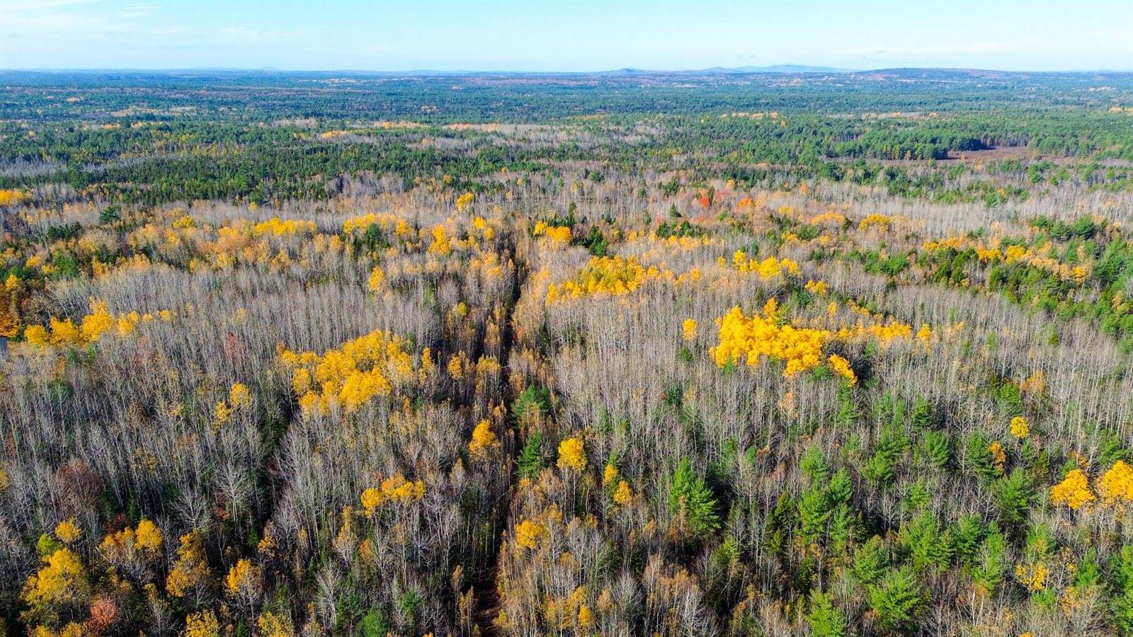 0000 Northfield Road, Wesley, ME 04686