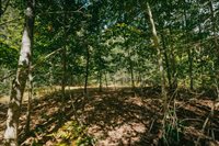 582 Western Avenue, Dixmont, ME 04932