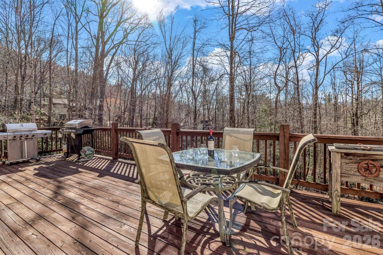 45 Baton Lane, Asheville, NC 28803