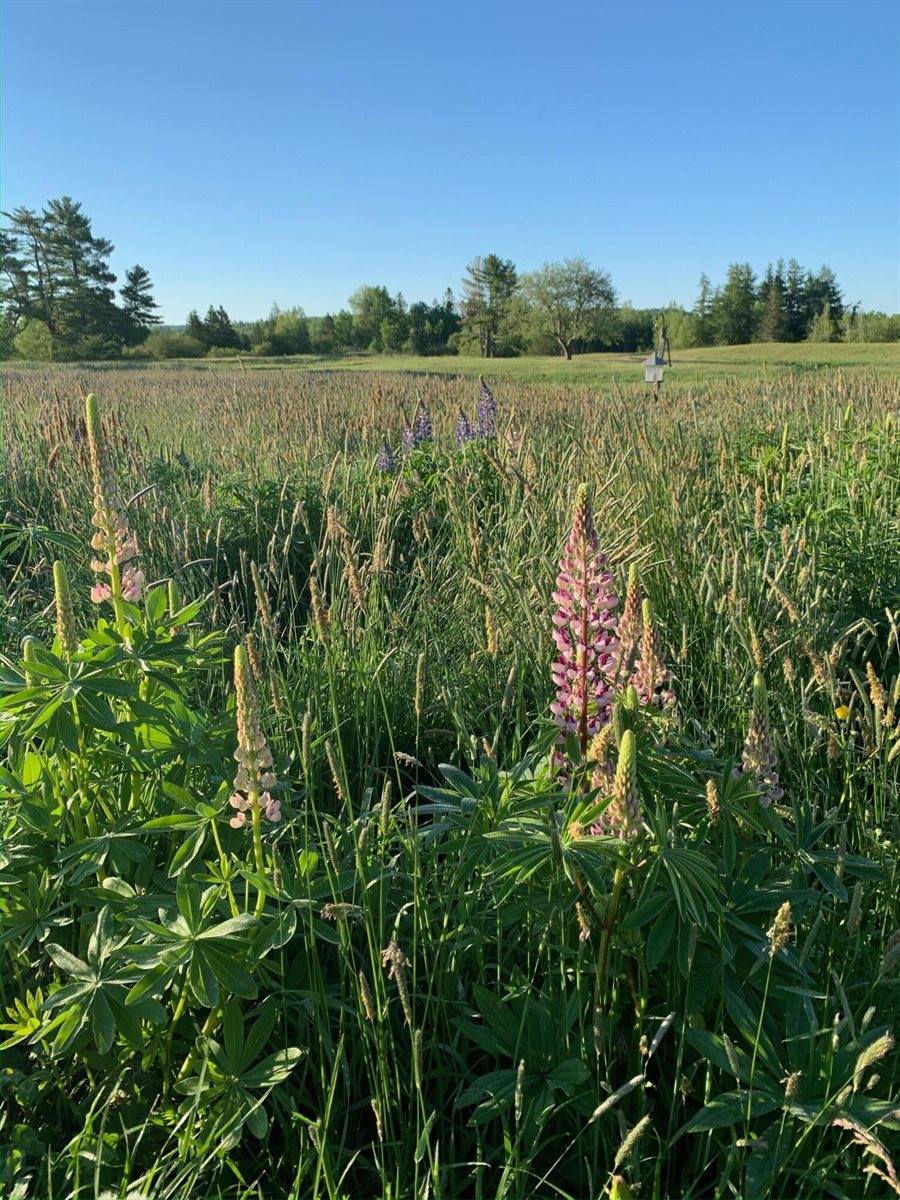 506 Baring Street, Calais, ME 04619