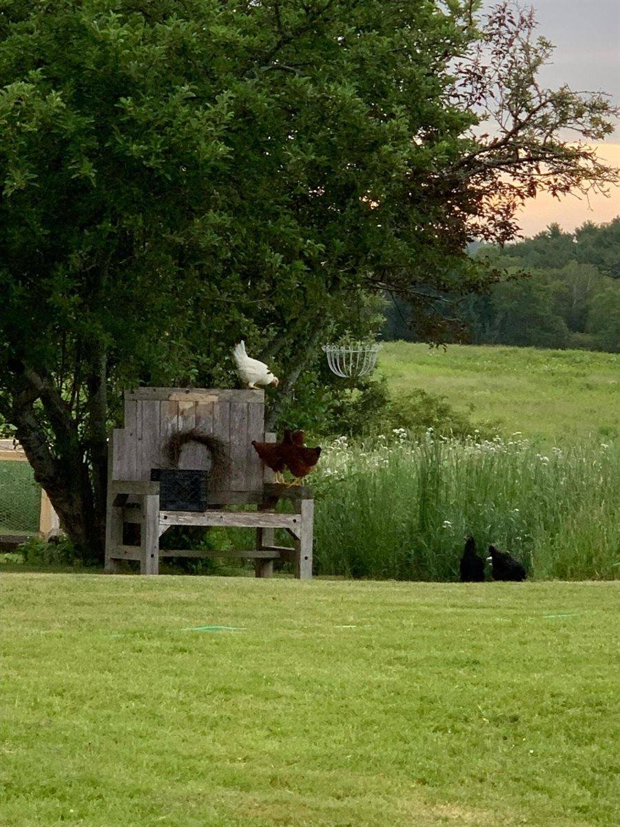 506 Baring Street, Calais, ME 04619