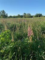 506 Baring Street, Calais, ME 04619