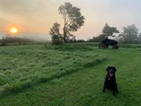 506 Baring Street, Calais, ME 04619