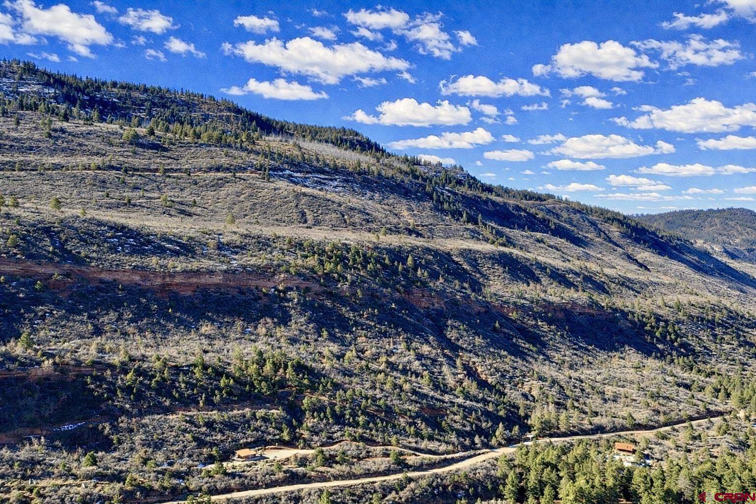 4115 County Road 17, Ridgway, CO 81432