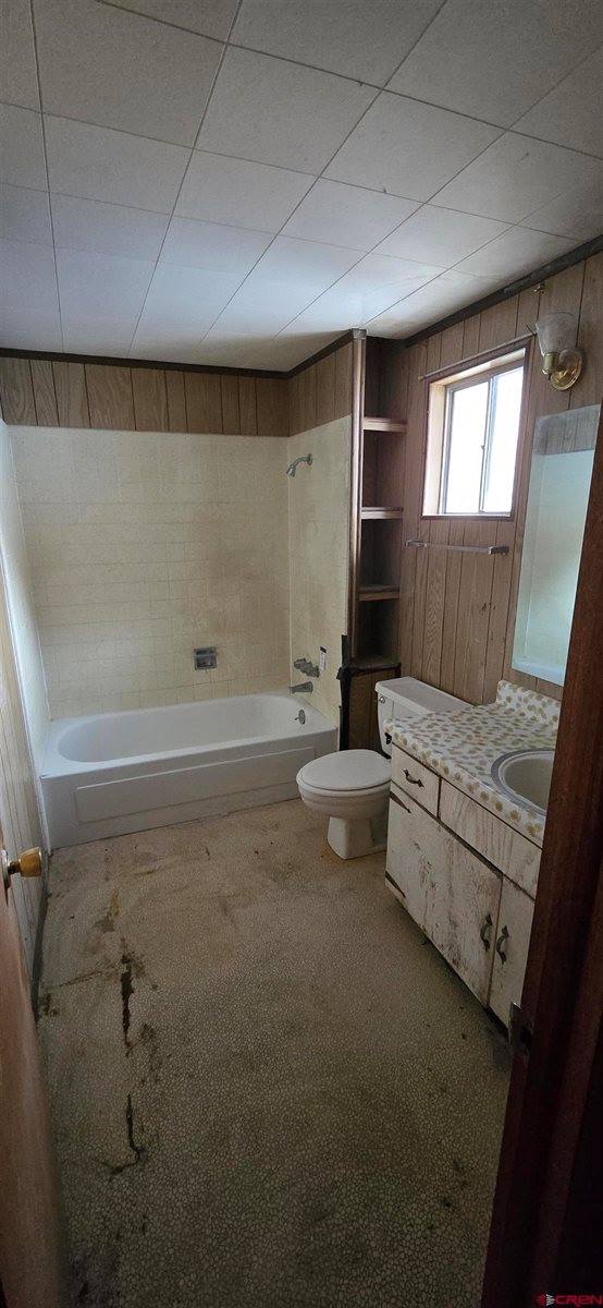 206 4th Street, Ouray, CO 81427