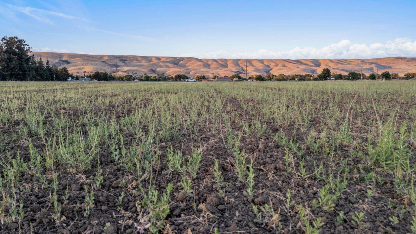 0000 Palm Avenue, Morgan Hill, CA 95037