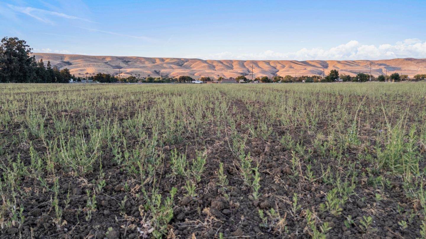 0000 Palm Avenue, Morgan Hill, CA 95037