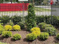 5140 Mallow Street, Houston, TX 77033