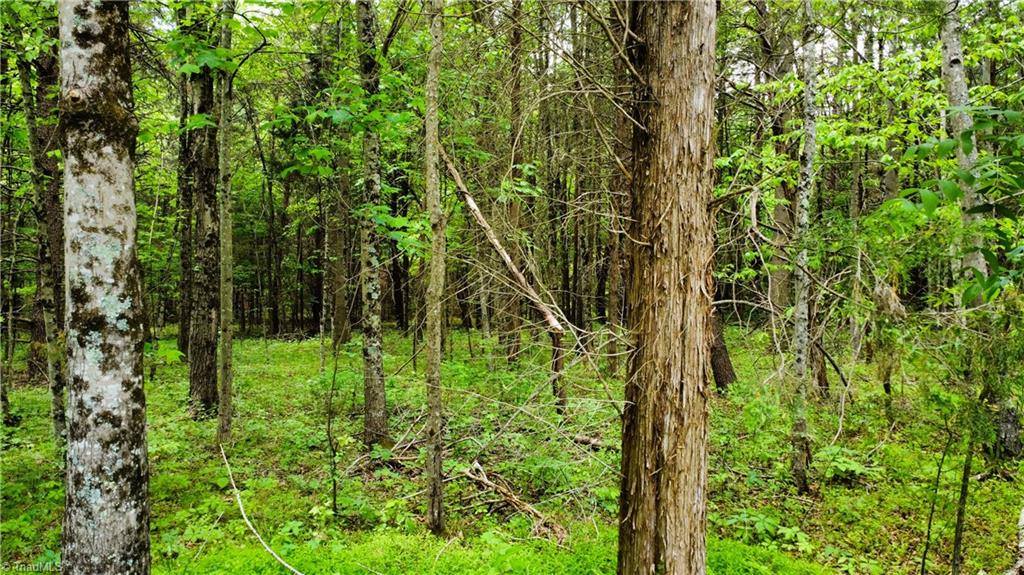 0 Eden Road, Stoneville, NC 27048