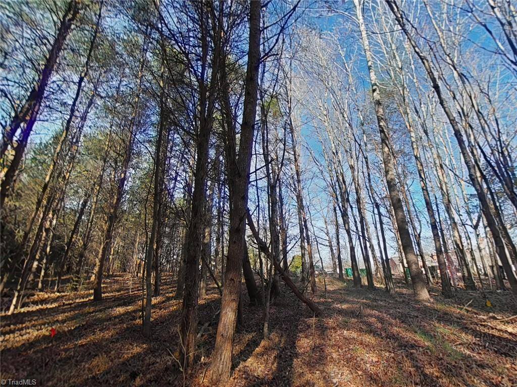 0 Eden Road, Stoneville, NC 27048