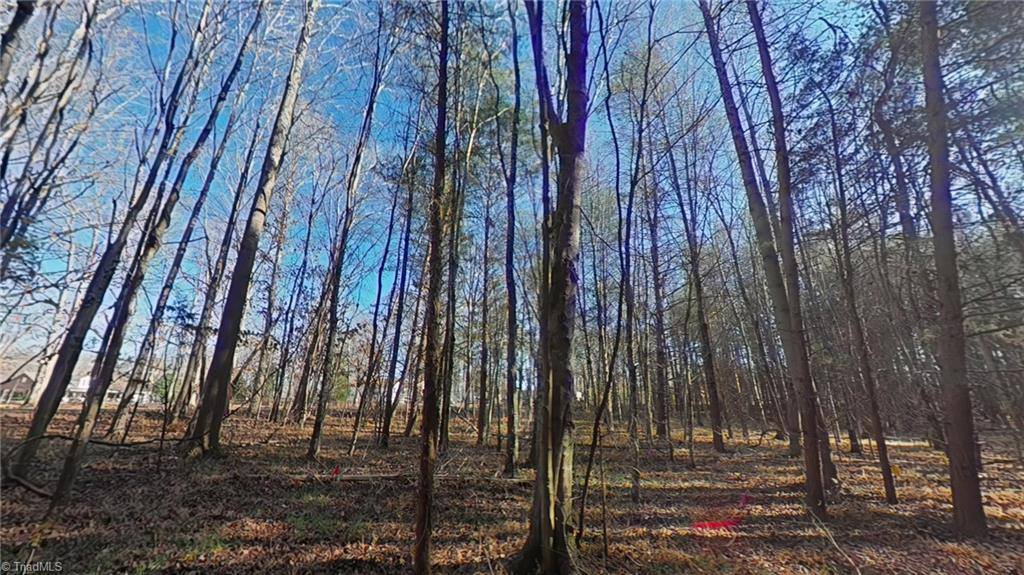 0 Eden Road, Stoneville, NC 27048