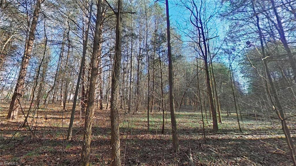 0 Eden Road, Stoneville, NC 27048