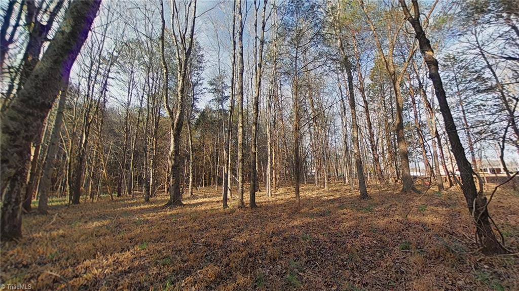 0 Eden Road, Stoneville, NC 27048