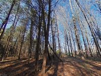 0 Eden Road, Stoneville, NC 27048