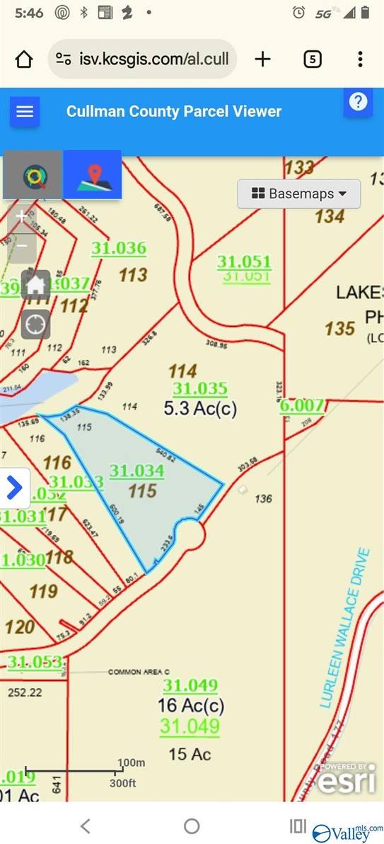 Lot 115 County Road 182, Crane Hill, AL 35053
