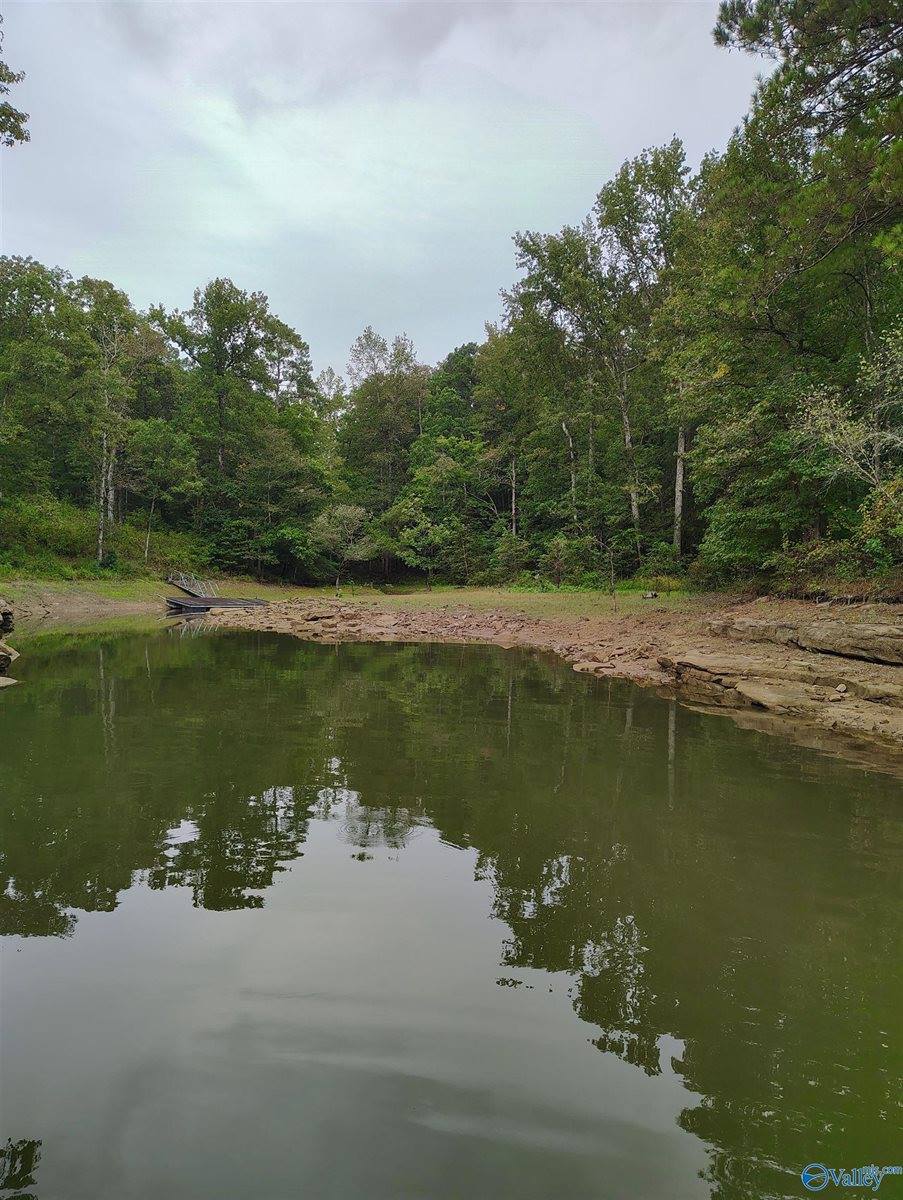 Lot 115 County Road 182, Crane Hill, AL 35053